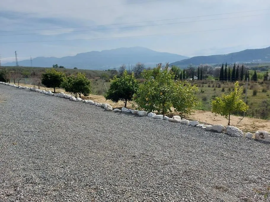 מאלגה Andalusian Farmhouse With Barbecue, Pool And Wifi בית נופש